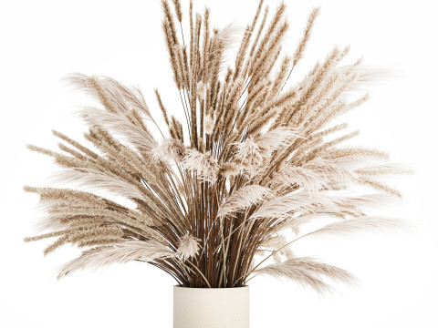 Bouquet Of Dried Flowers Pampas Branches Reed 519 3D Model