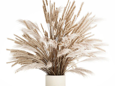 Bouquet Of Dried Flowers Pampas Branches Reed 519 3D Model