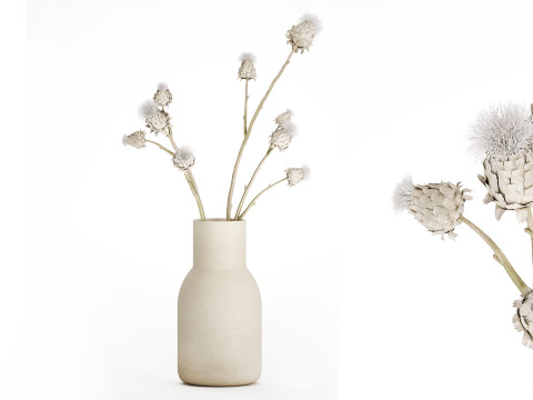 White bouquet dried flowers branches Thistle thorn 520 3D Model