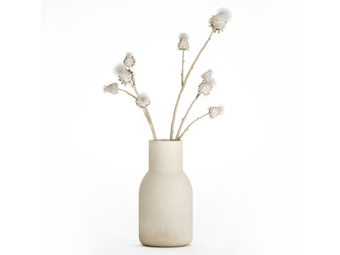 White bouquet dried flowers branches Thistle thorn 520 Modello 3D