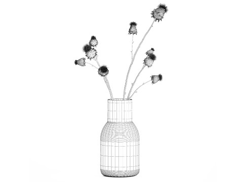 White bouquet dried flowers branches Thistle thorn 520 Modello 3D