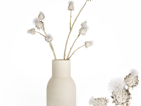 White bouquet dried flowers branches Thistle thorn 520 Modello 3D