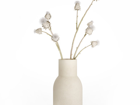 White bouquet dried flowers branches Thistle thorn 520 Modello 3D