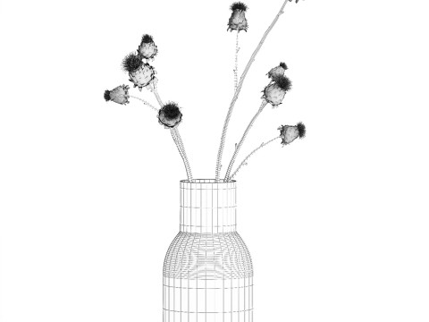 White bouquet dried flowers branches Thistle thorn 520 Modello 3D