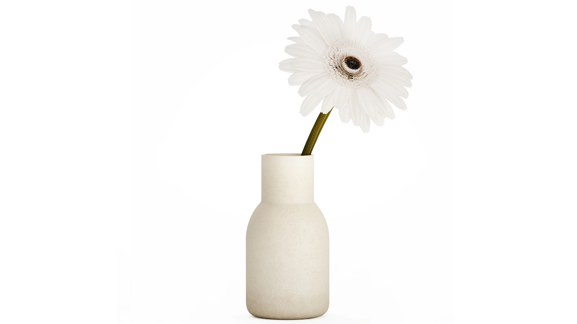 Small Bouquet Of White Flowers Gerbera Details 521 3D Model .c4d .max .obj .3ds .fbx .stl .blend 