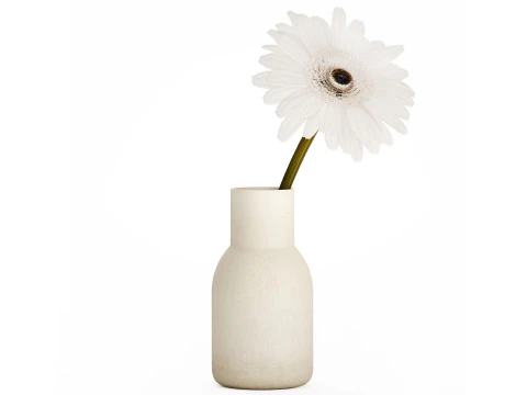 सफेद फूलों का छोटा गुलदस्ता जरबेरा विवरण 521 3D मॉडल