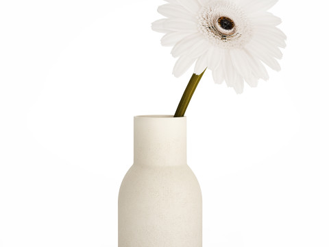 Small Bouquet Of White Flowers Gerbera Details 521 Modello 3D