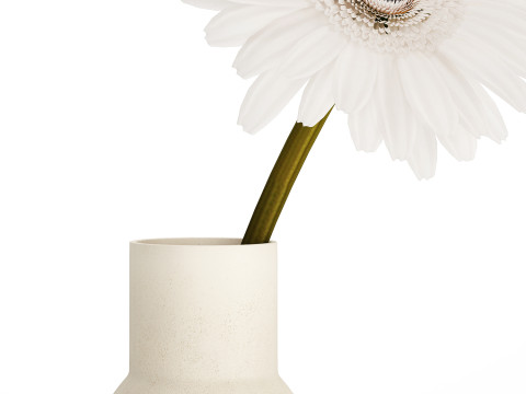Small Bouquet Of White Flowers Gerbera Details 521 Modello 3D