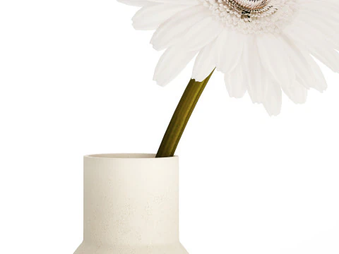 Small Bouquet Of White Flowers Gerbera Details 521 3D Model
