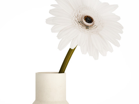 Small Bouquet Of White Flowers Gerbera Details 521 Modello 3D