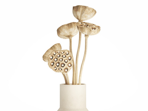 Flower Bouquet Of Dried Flowers Lotus Branches 522 Modello 3D