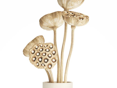 Flower Bouquet Of Dried Flowers Lotus Branches 522 3D Model