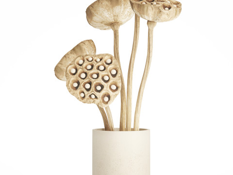 Flower Bouquet Of Dried Flowers Lotus Branches 522 Modello 3D