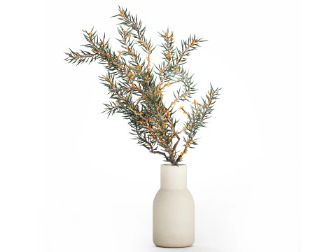 Bouquet Branches Yellow Berries Sea Buckthorn 523 3D Model