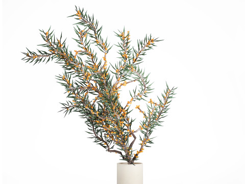 Bouquet Branches Yellow Berries Sea Buckthorn 523 Modelo 3D