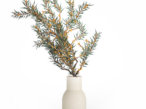Bouquet Branches Yellow Berries Sea Buckthorn 523 Modelo 3D