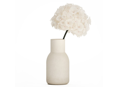 Bouquet Of White Flowers In A Vase Of Hydrangea 524 3D Model