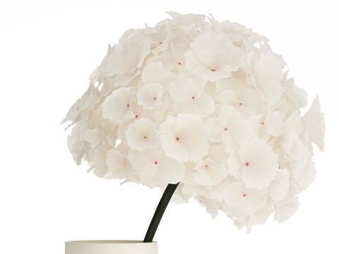 Bouquet Of White Flowers In A Vase Of Hydrangea 524 3D Model