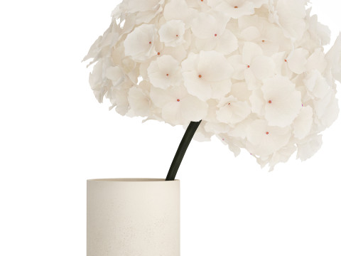 Bouquet Of White Flowers In A Vase Of Hydrangea 524 3D Model