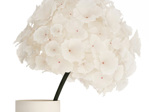Bouquet Of White Flowers In A Vase Of Hydrangea 524 3D Model