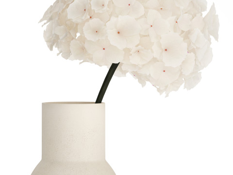 Bouquet Of White Flowers In A Vase Of Hydrangea 524 3D Model