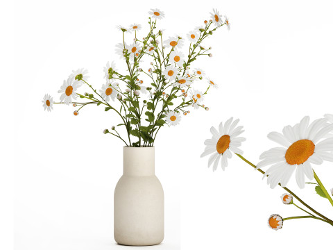 White Flower Bouquet Branch Of Chamomile 525 3D Model