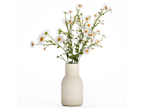 White Flower Bouquet Branch Of Chamomile 525 3D 模型