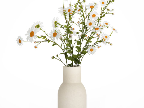 White Flower Bouquet Branch Of Chamomile 525 3D 模型
