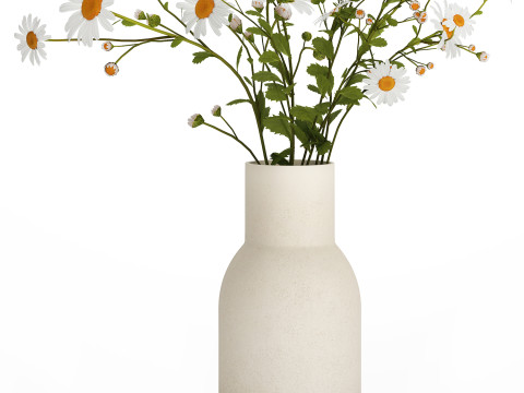 White Flower Bouquet Branch Of Chamomile 525 3D 模型