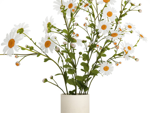 White Flower Bouquet Branch Of Chamomile 525 3D 模型