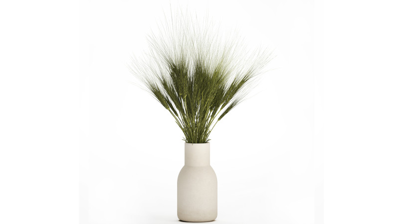 Summer Bouquet Of Wild Flowers Wheat Spikelet 526 3D Model .c4d .max .obj .3ds .fbx .stl .blend