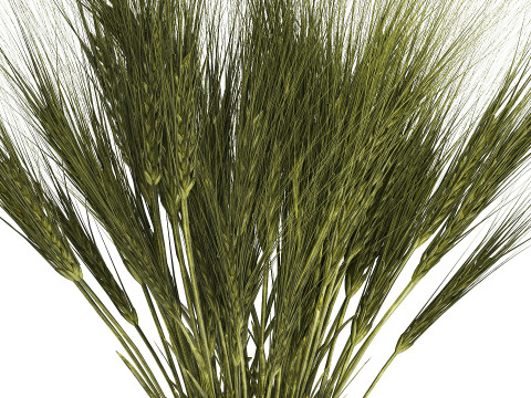 Summer Bouquet Of Wild Flowers Wheat Spikelet 526 3D Model
