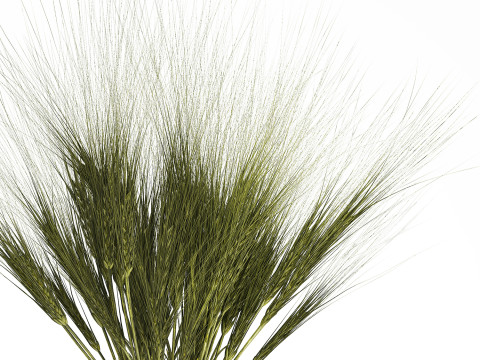Summer Bouquet Of Wild Flowers Wheat Spikelet 526 3D Model