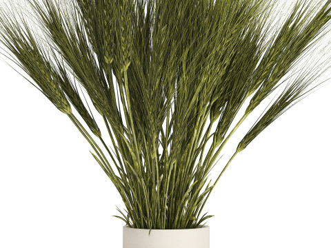 Summer Bouquet Of Wild Flowers Wheat Spikelet 526 3D Model
