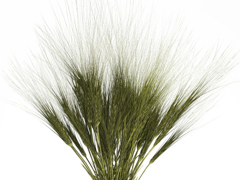 Summer Bouquet Of Wild Flowers Wheat Spikelet 526 3D Model