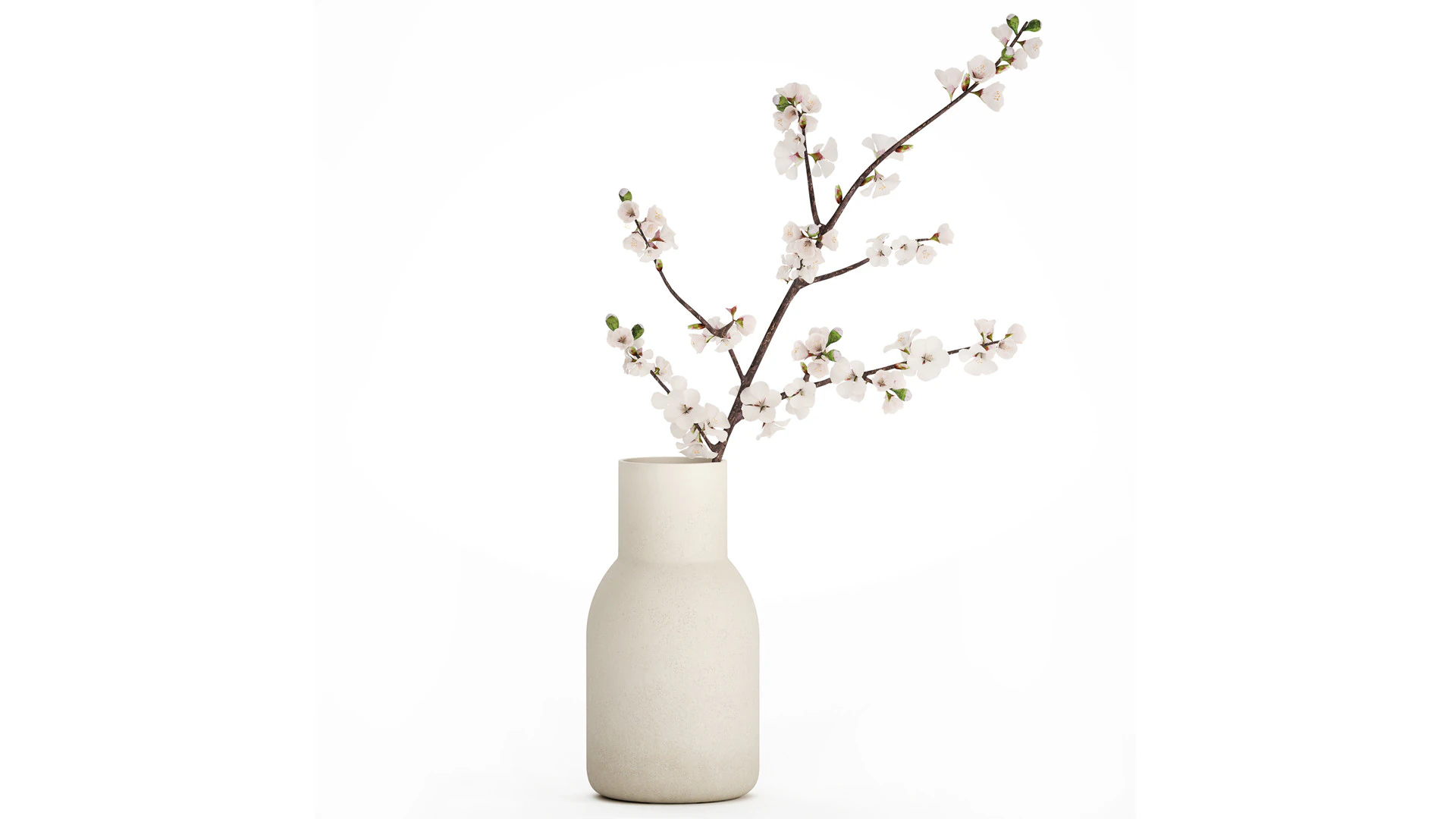 Bouquet Of Cherry Blossom Branches And Sakura 527 3D Model .c4d .max .obj .3ds .fbx .stl .blend