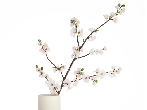 Bouquet Of Cherry Blossom Branches And Sakura 527 3D Model