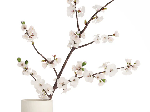 Bouquet Of Cherry Blossom Branches And Sakura 527 3D Model