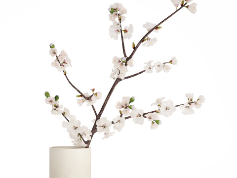 Bouquet Of Cherry Blossom Branches And Sakura 527 3D Модель