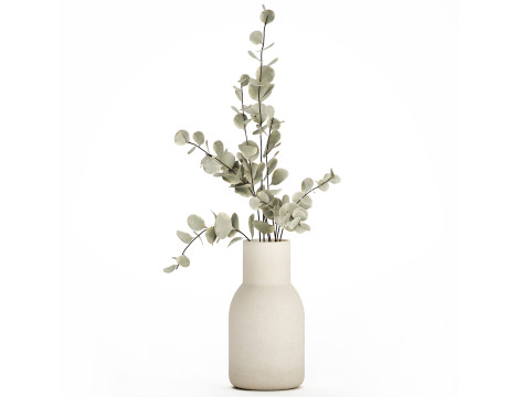 Bouquet Of Dried Flowers From Branches Eucalyptus 528 3D Model