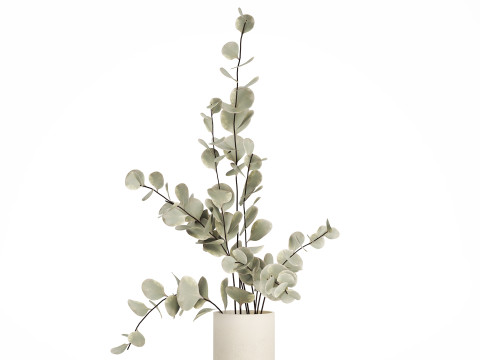 Bouquet Of Dried Flowers From Branches Eucalyptus 528 3Dモデル