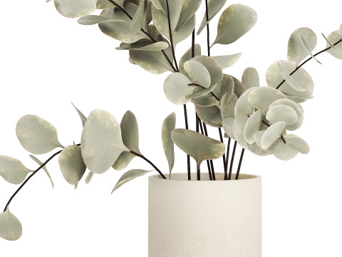 Bouquet Of Dried Flowers From Branches Eucalyptus 528 3Dモデル