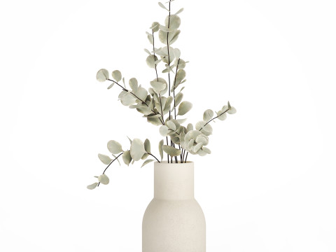 Bouquet Of Dried Flowers From Branches Eucalyptus 528 3Dモデル