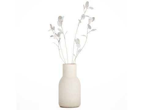 Dried Flowers From Branches Lunnik Lunaria in a vase 529 3D Model