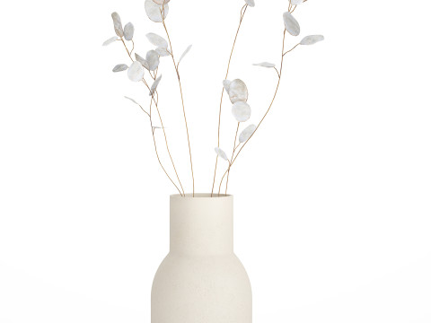 Dried Flowers From Branches Lunnik Lunaria in a vase 529 3D Модель