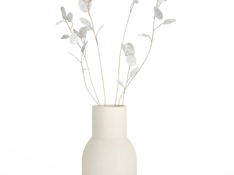 Dried Flowers From Branches Lunnik Lunaria in a vase 529 3D Model