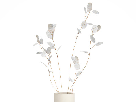 Dried Flowers From Branches Lunnik Lunaria in a vase 529 3D Модель