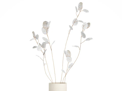 Dried Flowers From Branches Lunnik Lunaria in a vase 529 3D Model