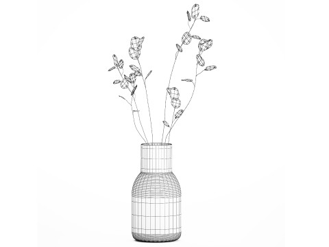 Dried Flowers From Branches Lunnik Lunaria in a vase 529 3D Модель
