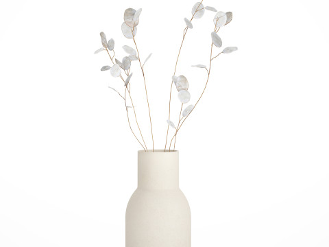 Dried Flowers From Branches Lunnik Lunaria in a vase 529 3D Модель